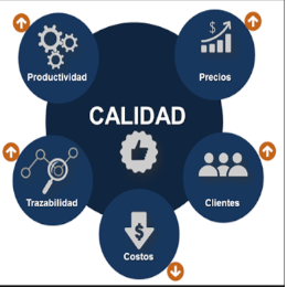Imagen de Gestión de Calidad